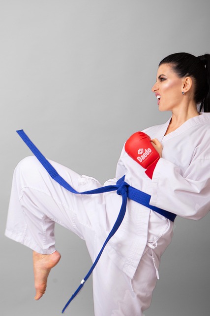 Black Belt Six Sigma Training Costs