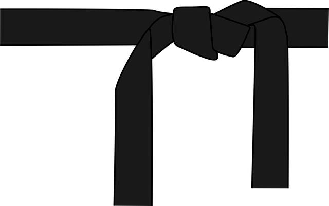 Six Sigma Black Belt Training Requirements