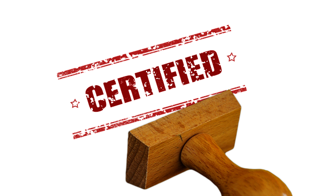 Master Six Sigma on a Shoestring Budget: Cost-Effective Certification