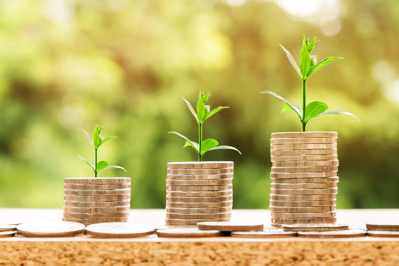 Evaluating Black Belt Six Sigma Trainings ROI: Is It Affordable?